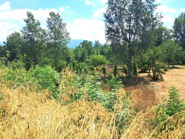 Terreno in vendita a Seggiari, Somma Vesuviana