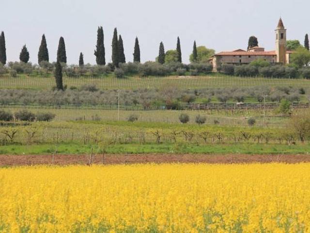 Terreno in vendita a Sommacampagna, Veneto