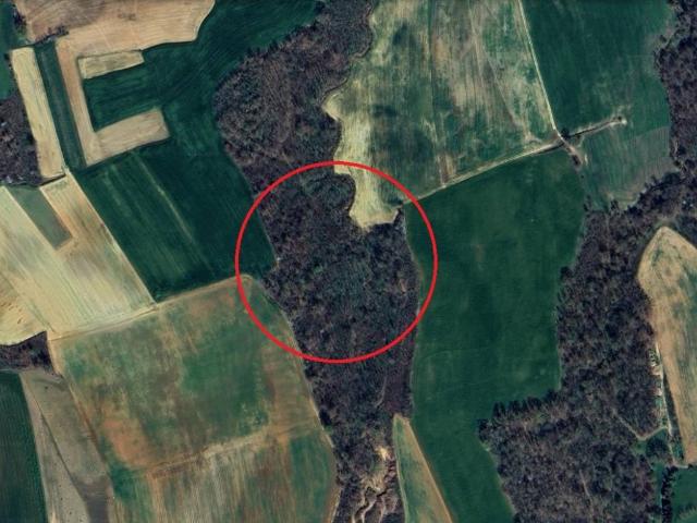 Terreno in vendita a Sommariva del Bosco, Piemonte