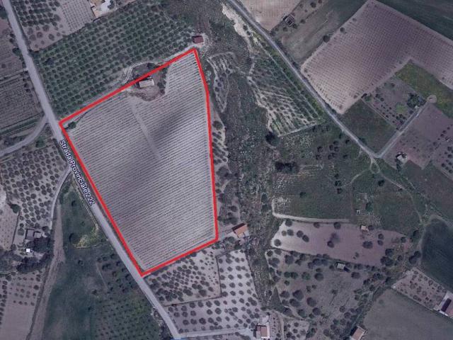 Terreno in vendita a Sommatino, Sicilia