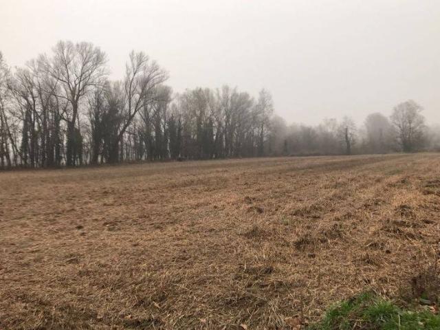 Terreno in vendita a Soncino, Lombardia