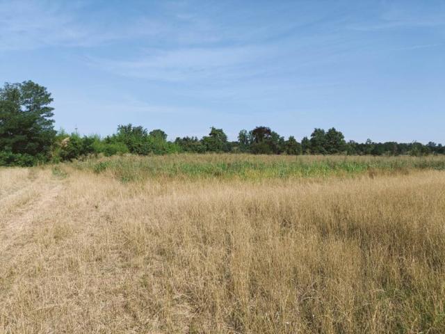 Terreno in vendita a Soncino, Lombardia