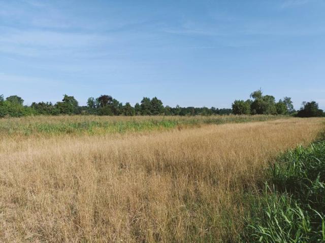 Terreno in vendita a Soncino, Lombardia