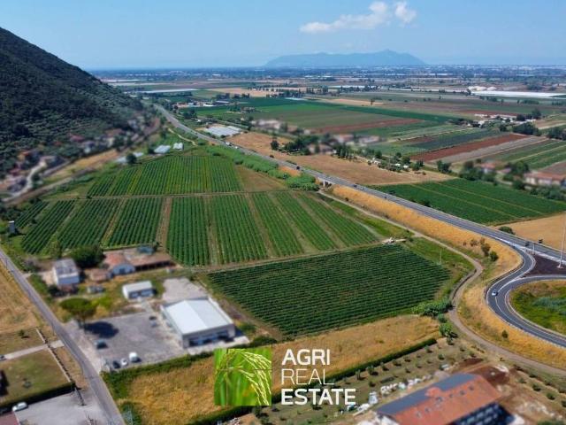 Terreno in vendita a Sonnino, Lazio