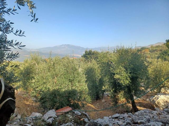 Terreno in vendita a Sonnino, Lazio