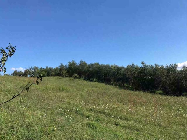 Terreno in vendita a Unione di Comuni Montani Colline del Fiora, Sorano