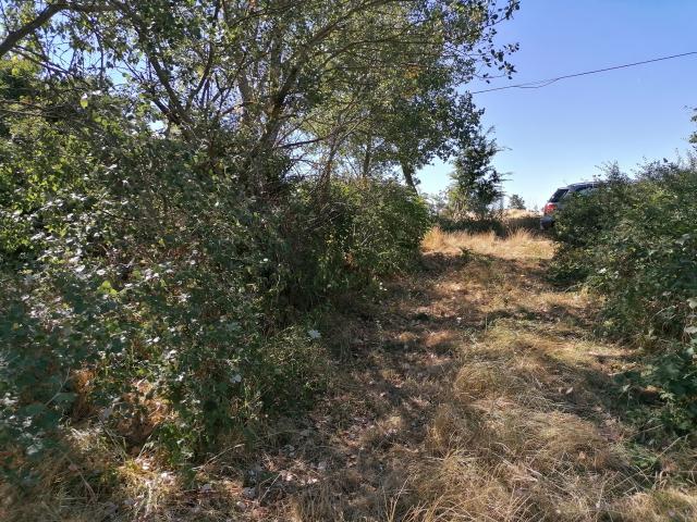 Terreno in vendita a Unione di Comuni Montani Colline del Fiora, Sorano