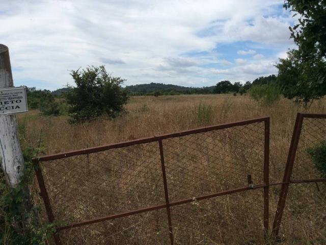 Terreno in vendita a Unione di Comuni Montani Colline del Fiora, Sorano
