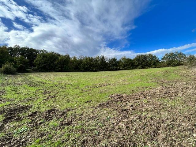 Terreno in vendita a Unione di Comuni Montani Colline del Fiora, Sorano