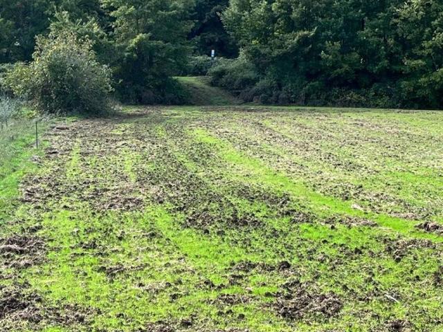 Terreno in vendita a Unione di Comuni Montani Colline del Fiora, Sorano