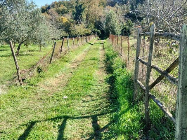 Terreno in vendita a Unione di Comuni Montani Colline del Fiora, Sorano