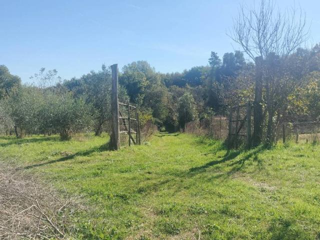 Terreno in vendita a Unione di Comuni Montani Colline del Fiora, Sorano
