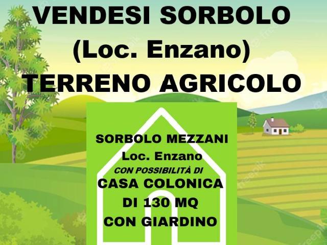Terreno in vendita a Sorbolo Mezzani, Sorbolo