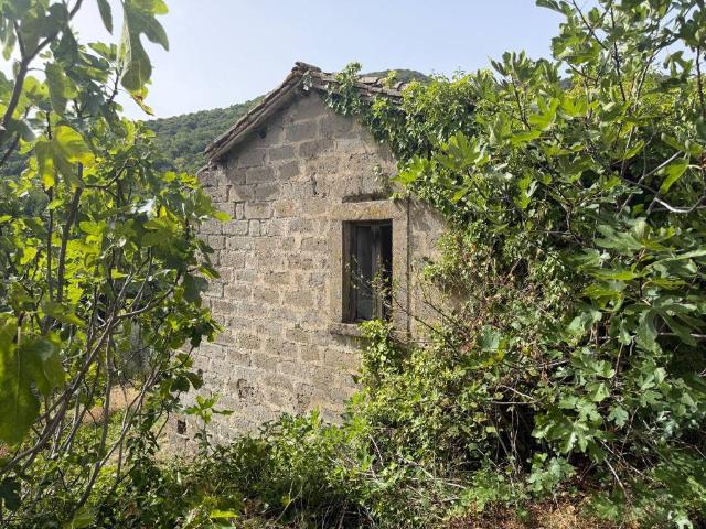 Terreno in vendita a Soriano nel Cimino, Viterbo