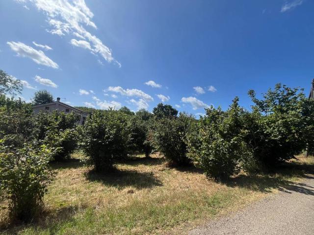 Terreno in vendita a Soriano Nel Cimino, Lazio