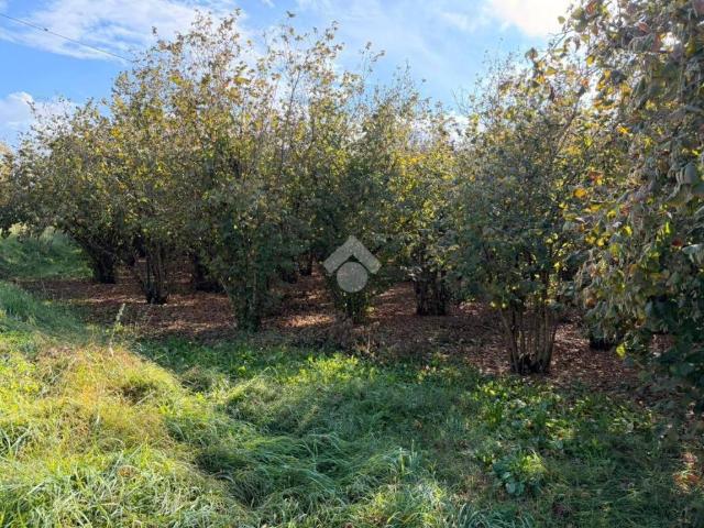 Terreno in vendita a Soriano Nel Cimino, Lazio