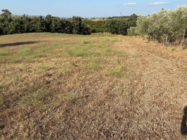 Terreno in vendita a Soriano Nel Cimino, Lazio