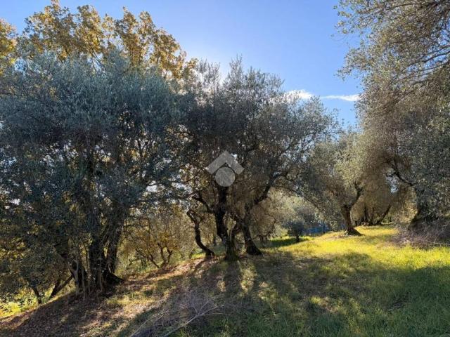 Terreno in vendita a Soriano Nel Cimino, Lazio