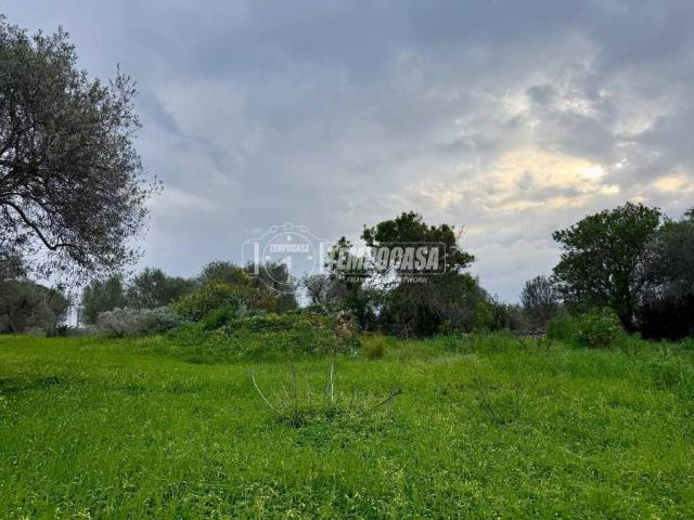 Terreno in vendita a Sorso, Sardigna/Sardegna