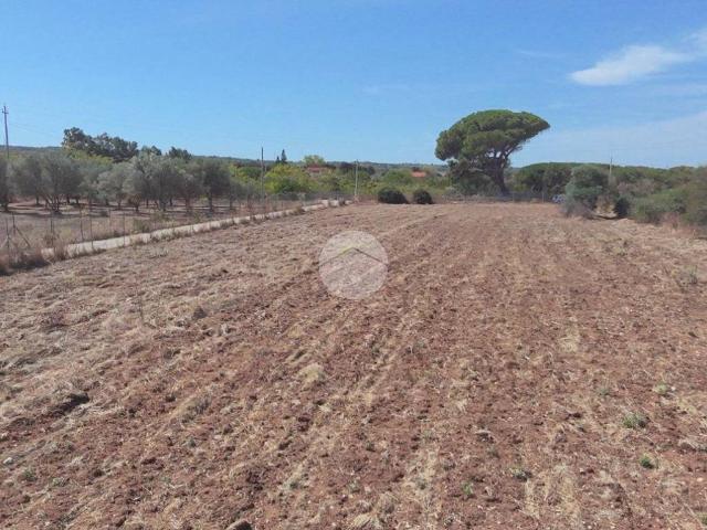 Terreno in vendita a Serralonga, Sorso