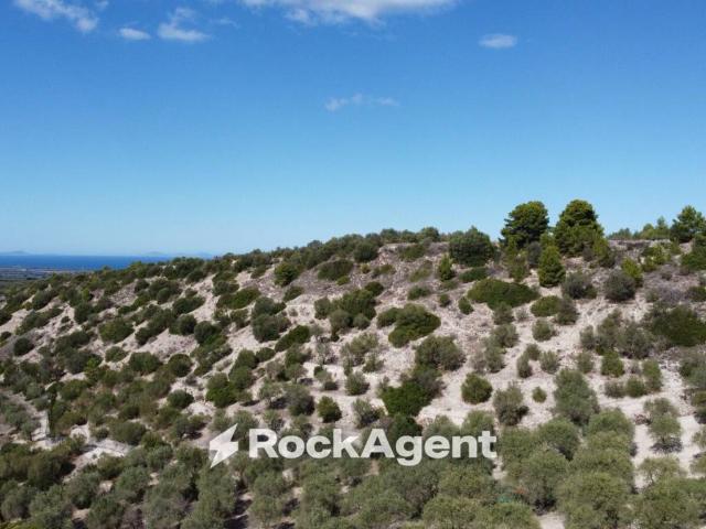 Terreno in vendita a Sennori, Sardigna/Sardegna