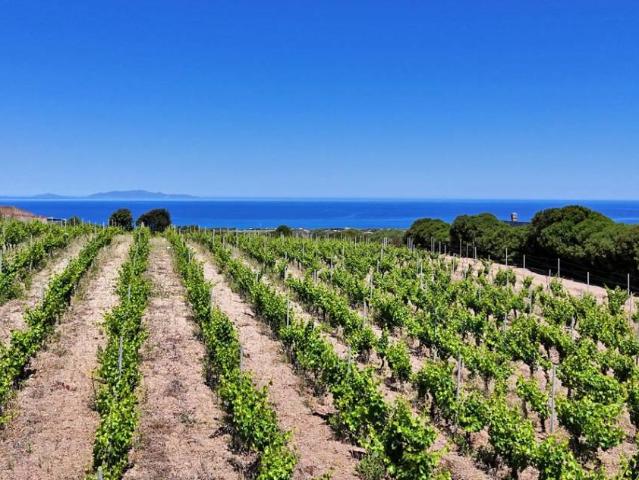 Terreno in vendita a Sorso, Sardigna/Sardegna