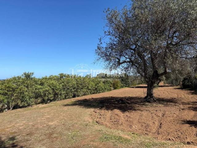 Terreno in vendita a Sorso, Sardigna/Sardegna