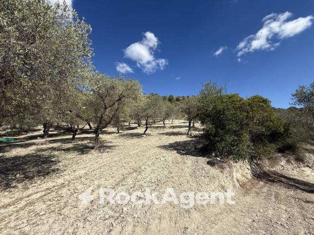 Terreno in vendita a Sennori, Sardigna/Sardegna