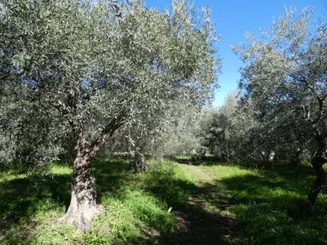 Terreno in vendita a Melilli, Sicilia