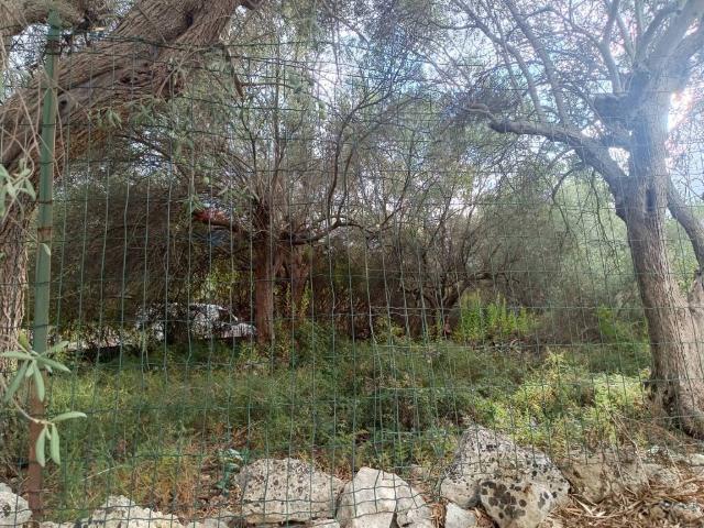 Terreno in vendita a Sortino, Sicilia
