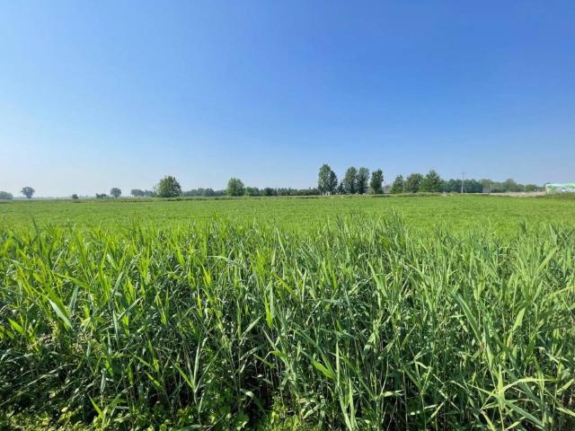 Terreno in vendita a Sospiro, Lombardia