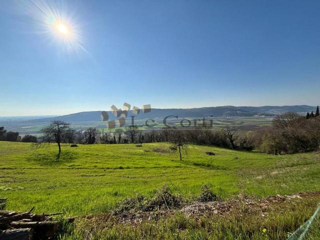 Terreno in vendita a Sossano, Vicenza