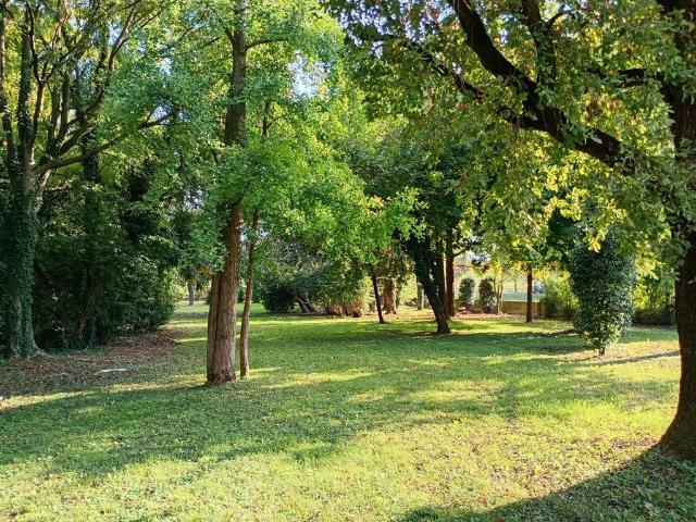 Terreno in vendita a Sossano, Vicenza