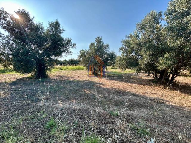 Terreno in vendita a Calabria, Catanzaro