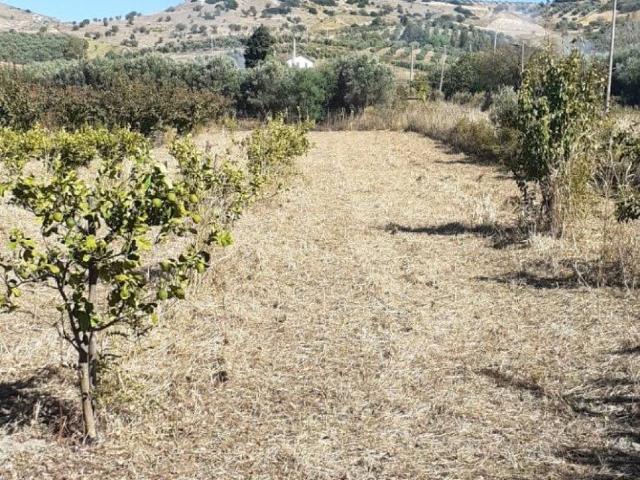 Terreno in vendita a Calabria, Catanzaro