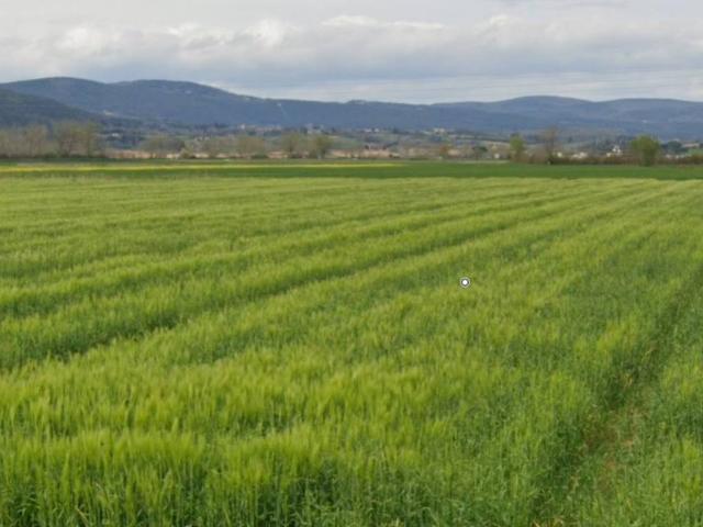 Terreno in vendita a Strada, Sovicille