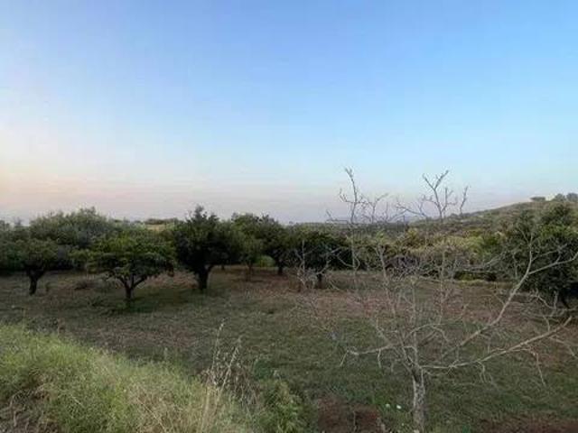 Terreno in vendita a Spadafora, Sicilia