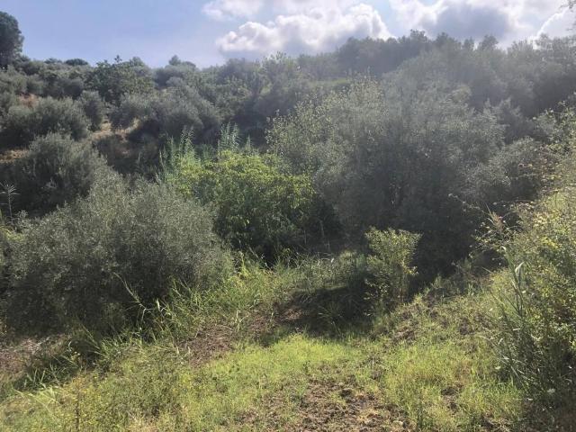 Terreno in vendita a Fondaconuovo, Spadafora