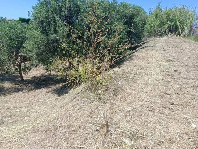 Terreno in vendita a Fondaconuovo, Spadafora