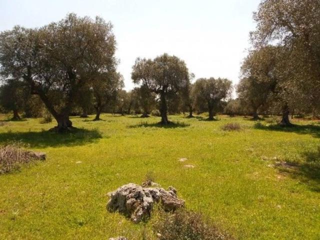 Terreno in vendita a Puglia, Lecce