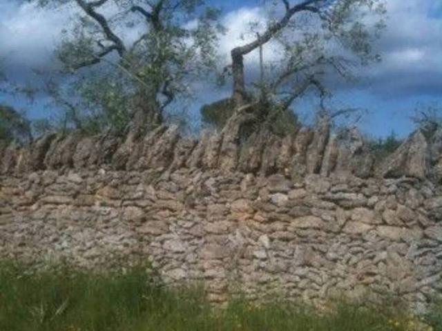 Terreno in vendita a Puglia, Lecce