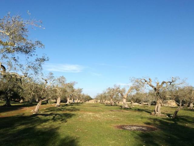 Terreno in vendita a Puglia, Lecce
