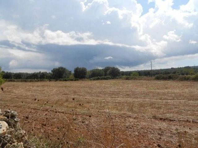 Terreno in vendita a Puglia, Lecce