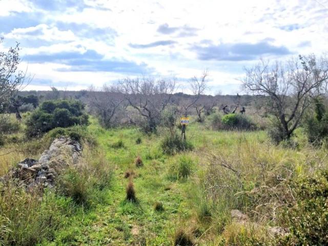 Terreno in vendita a Puglia, Lecce