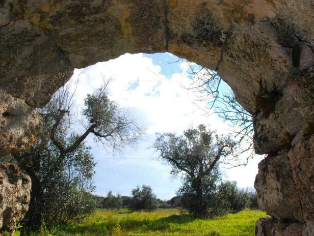 Terreno in vendita a Puglia, Lecce