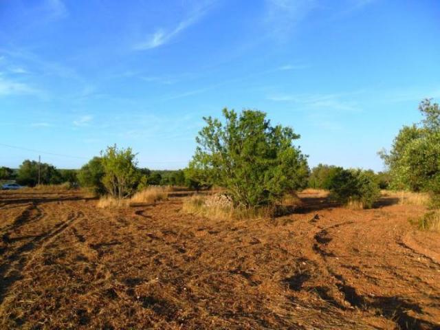Terreno in vendita a Puglia, Lecce