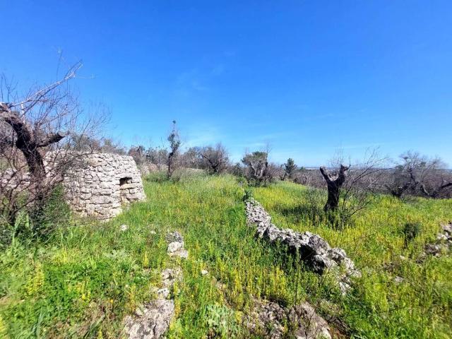 Terreno in vendita a Puglia, Lecce