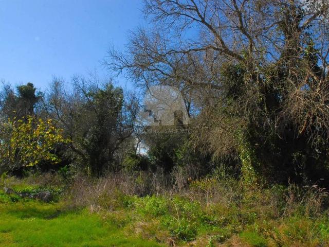 Terreno in vendita a Puglia, Lecce