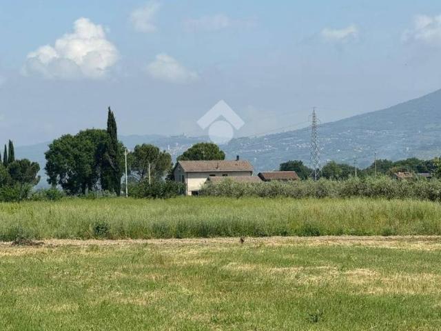 Terreno in vendita a Spello, Umbria
