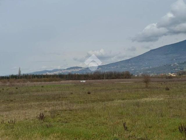 Terreno in vendita a Spello, Umbria